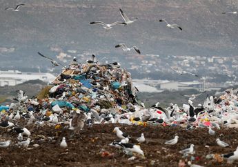 Lagi-lagi Soal Sampah, Foto-foto Ini Buktikan Sampah di Lautan Bisa Bikin Pulau Baru yang Bikin Kita Tercengang!