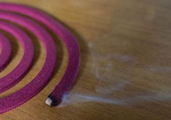 Lebih Mematikan dari Rokok, Asap Obat Nyamuk Bakar Ternyata Bisa Picu Asma Hingga Kanker Paru-paru! Waspada!