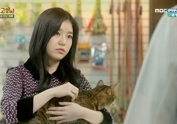 Benarkah Bulu Kucing Bisa Menyebabkan Kemandulan? Simak Penjelasannya