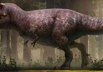 Gembul dan Tidak Berbulu, Inikah Gambaran T-Rex yang Sebenarnya?