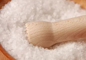Tak Cuma Garam, Ikan Teri Di Indonesia Mulai Tercemar Mikroplastik, Ini Bahayanya Bagi Tubuh