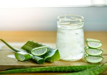 Sehat Banget, Manfaat Jus Lidah Buaya Termasuk Bantu Pencernaan!