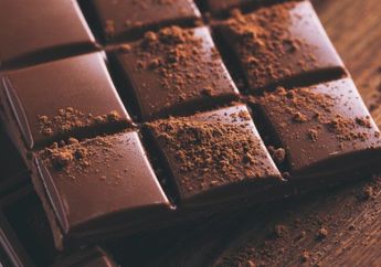 Kaya akan Manfaat, Inilah Alasan Kenapa Harus Mengonsumsi Cokelat Setiap Hari!