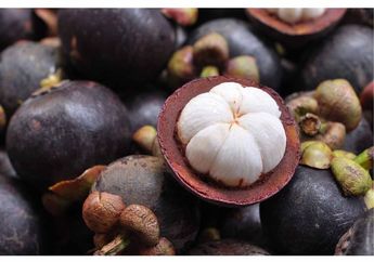 Kaya Antioksidan, Ini 5 Manfaat Buah Manggis Bagi Kesehatan. Ajaib!