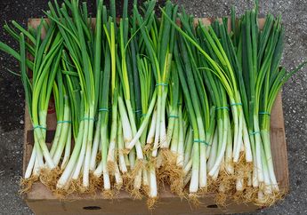 Cara Menyimpan Daun Bawang agar Tetap Segar Sampai Berminggu-minggu, Lakukan Hal ini Setelah Dicuci