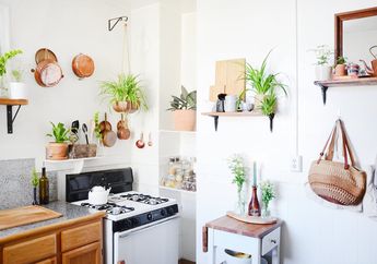 Mulai dari Gaya Bohemian, Ternyata Tanaman di Dapur Bisa Ditata Seperti Ini, Intip Inspirasinya!