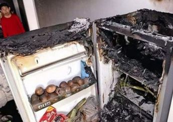 3 Benda ini Berbahaya Jika Dimasukkan ke Dalam Kulkas, Bisa Meledak
