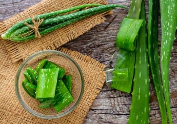 Besok Minggu! Yuk Me Time dengan Perawatan Tubuh Simpel Menggunakan Lidah Buaya