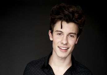 Shawn Mendes Meminta Maaf Pada Fans Melalui Twitter. Kenapa?