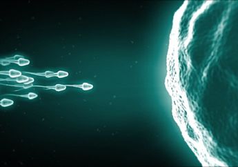 Inilah Penyebab Sperma Mati Alias Necrozoospermia, Sebelum Membuahi