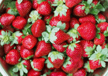 Gampang Banget! Putihkan Gigi & Scrub Bibir Kita dengan Buah Stroberi!