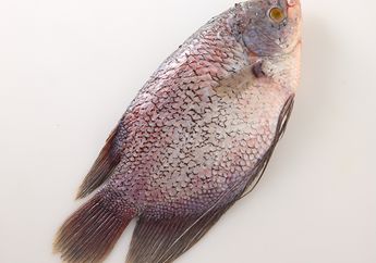 Tips Menghilangkan Bau Lumpur Pada Ikan Gurame, Tiru Cara Ala Restoran Ini