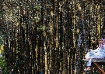Wow, Indonesia Nomor 4 dalam 25 Negara Paling Instagrammable di Dunia!