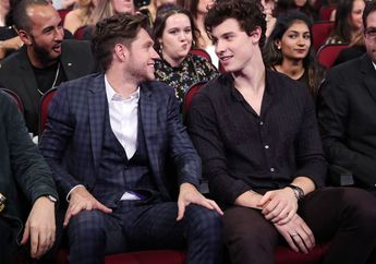 Shawn Mendes: Kolaborasi dengan Niall Horan 100% Segera Terjadi!