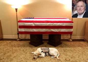 7 Foto Mengharukan Kebersamaan Mantan Presiden AS, George Bush Bersama dengan Sully, Anjing Setianya!
