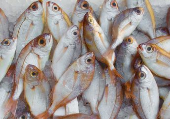 Sering Disepelekan, Siapa Sangka Air Cucian Ikan Ternyata Punya Manfaat Ajaib Ini! Wajib Tahu