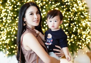Imlek 2019 : Contek Gaya Cantik Sandra Dewi Kenakan Cheongsam dengan Paduan Warna Emas, Menawan!