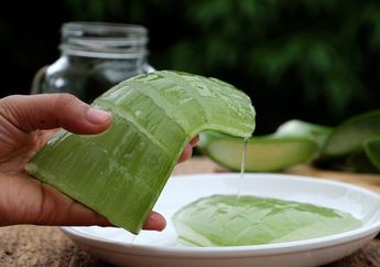 Yuk Jadikan Kulit Wajah Kencang dan Bebas Kerut dengan Masker Lidah Buaya, Ini 5 Cara Membuatnya!