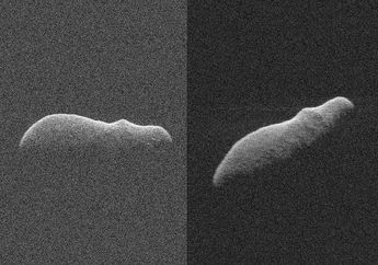 Asteroid Seperti Kudanil Ini Memiliki Risiko Tabrakan dengan Bumi