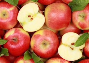 Buah Apel untuk Diet Sebaiknya Tidak Lagi Disimpan dalam Suhu Ruang, Ini Alasannya