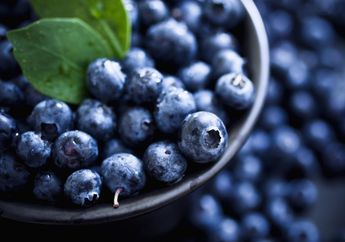 Konsumsi Blueberry dan 4 Buah Ini Buat Jaga Kesehatan Ginjal!