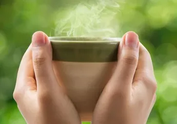 Selain Air Putih, Ini 7 Minuman Terbaik Biar Cepat Turun Berat Badan!