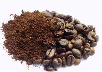 Begini Cara Kopi Mendeteksi Keberadaan Infeksi Virus Corona Pada Tubuh