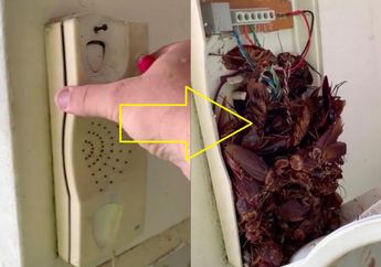 Benda Ini Lama Tak Terpakai dan Masih Menempel di Dinding Rumah, saat Dibuka Isinya Bikin Merinding!