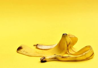 Enggak Nyangka! Rutin Minum Air Rebusan Kulit Pisang Bisa Datangkan Manfaat Luar Biasa Ini!