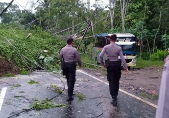 Longsor di Magelang, Jalur Bus Semarang-Cilacap Dialihkan Lewat Yogyakarta