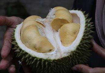 Kronologi Pria di Minahasa Tewas Gara-gara Bercinta Usai Makan Durian dan Minum Kopi, Kekasihnya Mengaku Korban Sempat Kejang-kejang