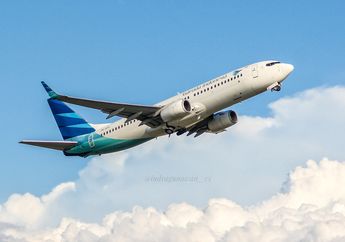 Ramai-ramai Kandangkan Pesawat Boeing 737 Karena Ada Retakan, Ternyata Presiden Kita Jadi Penemu Teori untuk Cegah Crack Pada Pesawat