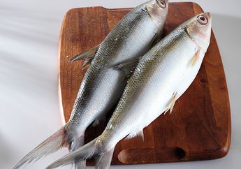 Cara Menghilangkan Bau Lumpur Pada Ikan Bandeng Supaya Masakan Jadi Makin Enak!