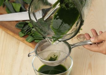 Tak Cuma Jadi Pewarna Makanan, 8 Manfaat Daun Suji Ini Ternyata Lebih Ampuh dari Obat, Mulai dari Turunkan Kolesterol Hingga Obati Sakit Gigi