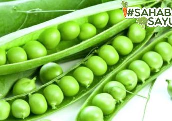 Turunkan Berat Badan Sampai Tingkatkan Kualitas Sperma, Ini Manfaat Lain Kacang Polong yang #SahabatSayur Wajib Tahu
