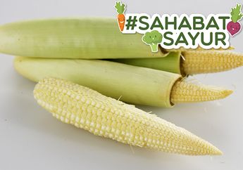 Kecil Bentuknya, Jagung Muda alias Putren Punya Manfaat Luar Biasa yang Bisa Bikin #SahabatSayur Terpukau