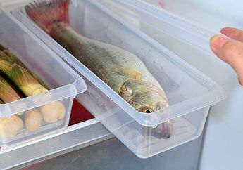 Cobalah Rendam Ikan dengan Susu Selama 3 Menit Sebelum Dimasak, Jangan Kaget Lihat Perubahan yang Diluar Dugaan