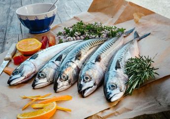 Ikan Segar Paling Lama Disimpan Dalam Kulkas Hanya Dua Hari