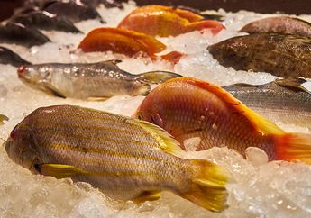 Cara Menghilangkan Bau Amis Ikan, Cukup Tiru 4 Cara Simple Ini