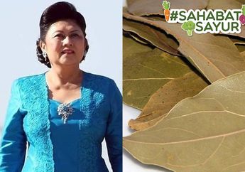 Sakit Kanker Darah Seperti Ani Yudhoyono Bisa Disembuhkan Oleh Daun Salam, #SahabatSayur Harus Tahu Aturannya