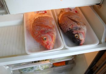 Bisa Tahan 5 Hari, Begini Cara Menyimpan Ikan yang Tepat, Bisa Tetap Segar dan Aman Sampai Lebaran!