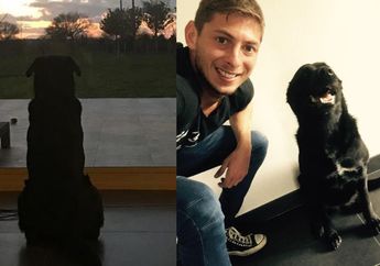 Majikannya Meninggal dalam Kecelakaan Pesawat, Nala, Anjing Kesayangan Emiliano Sala dengan Setia Menunggu Kepulangan Tuan Rumahnya