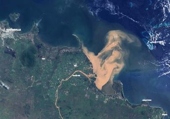 Limpasan Banjir Cemari Great Barrier Reef, Terumbu Karang Terancam Rusak
