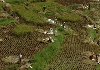 Indonesia Masuk Era Industri 4.0, Foto-foto Ini Bikin Kita Yakin Tradisi Leluhur Nusantara Tak Hilang