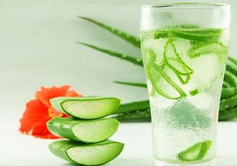Iseng Minum Jus Lidah Buaya Saat Perut Kosong di Pagi Hari, Efek Tak Terduga Ini Langsung Terjadi Pada Tubuh! Begini Kata Dokter