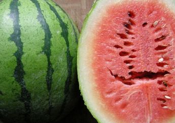 Jangan Makan Semangka yang Berlubang di Dalamnya, Bisa Sebabkan Tumor