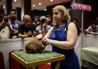 Manjakan Satwa Kesayangan di Jakarta Internasional Pet Show 2019