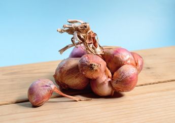 Jangan Dibuang, Kulit Bawang Merah Ternyata Punya Banyak Khasiat untuk Kesehatan!