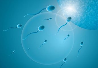 Mitos Menelan Sperma Bisa Perpanjang Umur dan Percepat Kehamilan? Ini Fakta Sebenarnya