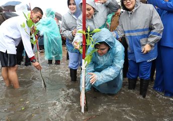Pakai Sepatu Bot dan Jas Hujan Rp 10 Ribuan, Ibu Iriana Jokowi Tanam Bibit Mangrove Sewaktu Gerimis